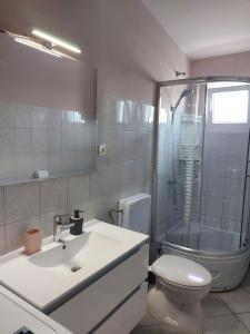 a bathroom with a sink and a toilet and a shower at LARA & VITO in Metajna