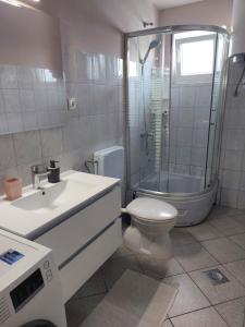 a bathroom with a shower and a toilet and a sink at LARA & VITO in Metajna