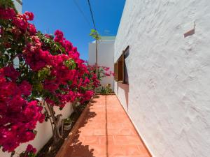 A garden outside Agaete Pupe Home by Canariasgetaway