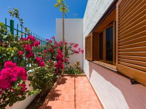 A garden outside Agaete Pupe Home by Canariasgetaway