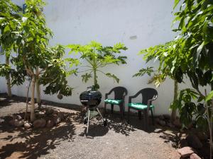 A garden outside Agaete Pupe Home by Canariasgetaway