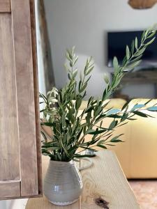 un vase blanc avec une plante sur une table dans l'établissement Preciosa casa de pueblo entre Ronda y Setenil La Posada de Catalina, à Montecorto