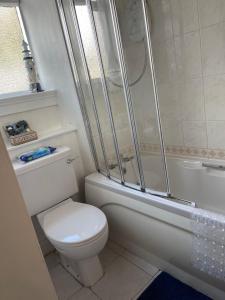 a small bathroom with a toilet and a shower at apartment porthmadog harbour side fantastic views in Porthmadog