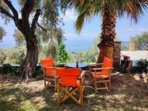 a table and chairs sitting under a palm tree at Sun Touch Pelion Rooms in Kala Nera +54 photos