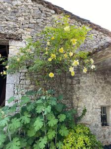 Gite Les 3 Toitures Ecogite le Luquet Saint Beauzeil 82外面的花园