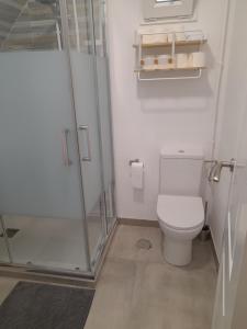 a small bathroom with a toilet and a shower at Barbeito in Sanxenxo