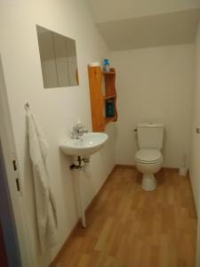 a bathroom with a toilet and a sink at Les Chambres de Marvejols in Marvejols