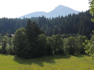 Príroda v okolí apartmánu