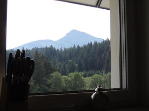 Výhľad na hory alebo výhľad na hory priamo z apartmánu