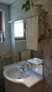 Koupelna v ubytování Haus Alpina + 25 fotografií