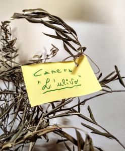 Fotografie z fotogalerie ubytování Eremo Gioioso v destinaci Pontremoli