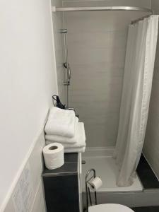 La salle de bains est pourvue de toilettes, d'une douche et de serviettes. dans l'établissement Gästehaus Uezel, à Friedrichshafen