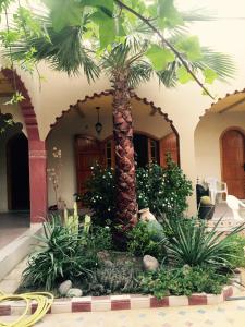 een palmboom in een tuin voor een huis bij Riad AL MAASSRA 