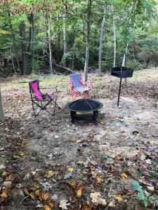 2 Stühle, ein Tisch und ein Grill im Wald in der Unterkunft Avenwood Cabins in Logan