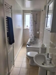 a bathroom with a toilet and a sink and a shower at Place by the sea 2 in Bridlington