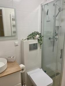 La salle de bains est pourvue d'une douche, de toilettes et d'un lavabo. dans l'établissement Przystanek surfera, à Rumia