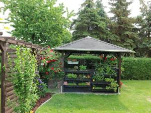 a garden with a gazebo with flowers and plants at Ferienwohnung Nordstadt in Forst +2 photos