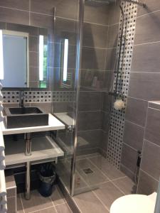 La salle de bains est pourvue d'un lavabo et d'une douche. dans l'établissement Trés Beau Studio (face bois), 10mn de l'Etoile, à Neuilly-sur-Seine