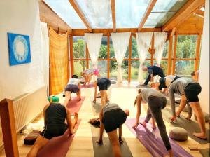 a group of people doing yoga in a room at Wohnung 1 in Burghaslach