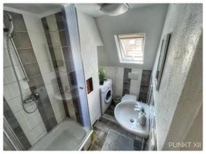 布格哈斯拉赫的住宿－Wohnung 4，带淋浴卫生间和盥洗盆的浴室