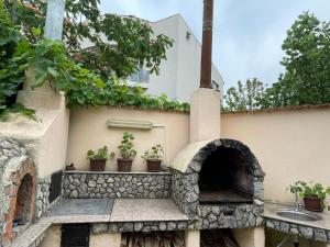 einem Außenofen mit Topfpflanzen an der Wand in der Unterkunft Vila Nadia in Eforie Nord