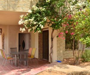 a patio with a table and chairs under a tree at Ranch Tanit Djerba in Midoun