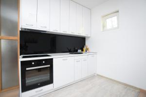Kuchyň nebo kuchyňský kout v ubytování Zanes Apartment
