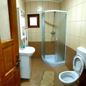 a bathroom with a shower and a toilet and a sink at Cabana LaGică in Beclean