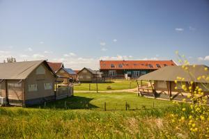 厄伊特海斯特Dutchen Erfgoedpark De Hoop Glamping的草场上的一群房子