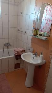 ein Badezimmer mit einem Waschbecken und einer Badewanne in der Unterkunft Dado in Bijeljina