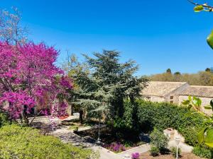 un jardín con árboles y flores púrpuras y una casa en Villa Polara en Modica