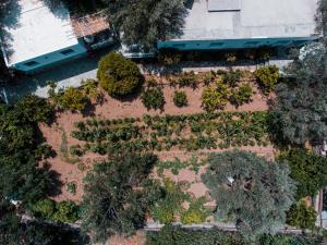 an aerial view of a garden with trees and bushes at Small Paradise in Andros