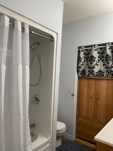 y baño con aseo y ducha con cortina de ducha. en My Cozy Apartment Cottage, en Grande-Digue