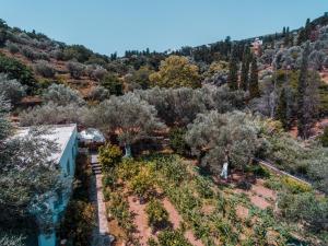 an aerial view of a garden with trees at Small Paradise in Andros
