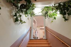 a stairway with plants hanging from the ceiling at Aparthotel AMMI Vieux Nice in Nice