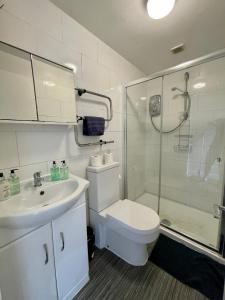 La salle de bains est pourvue de toilettes, d'une douche et d'un lavabo. dans l'établissement 1 Bed 2 Person Apartment City Centre, à Cardiff