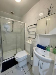 een badkamer met een toilet, een douche en een wastafel bij One Bedroom Apartment In City Centre in Cardiff