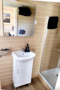 ein Bad mit einem Waschbecken, einer Dusche und einem Spiegel in der Unterkunft Tiny-river in Falaën