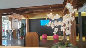 Fotografie z fotogalerie ubytování Hotel Balsthal v destinaci Balsthal