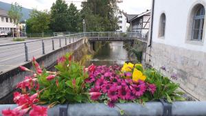 Zahrada ubytování Hotel Balsthal