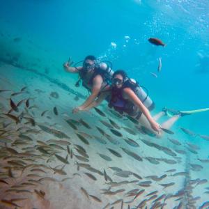 zwei Menschen schwimmen mit Fischen im Wasser in der Unterkunft Chalé Paraíso -Maracajaú 4- Casa 38 - Beira-mar in Maxaranguape