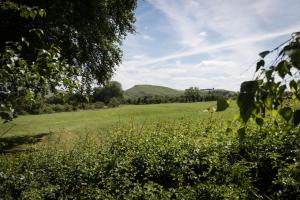 a field of green grass with hills in the background at Yurt with Hot Tub near Hartington, Peak District in Buxton