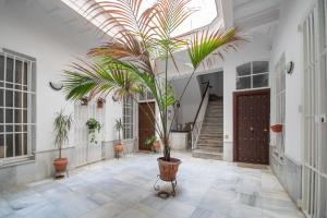 Fotografia z galérie ubytovania Apartamento Ooh La Lá Cádiz v destinácii Cádiz