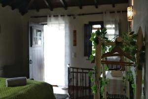 a boy sitting on a rail in a bedroom with a plant at Banyan Tree in Óbidos