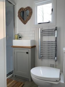 a bathroom with a toilet and a sink and a mirror at Self-catering shepherds hut with private garden in Durhams idyllic countryside in Durham