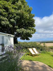 a chair sitting in the grass next to a tree at Self-catering shepherds hut with private garden in Durhams idyllic countryside in Durham