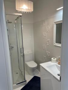 a bathroom with a shower and a toilet and a sink at Apartman Priko 63A in Mali Lošinj