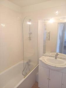 biała łazienka z umywalką i prysznicem w obiekcie Appartement confortable à Besse - 40 m² avec balcon vue montagne w mieście Besse-et-Saint-Anastaise