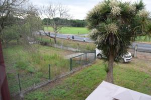 un'auto parcheggiata sul lato di una strada accanto a un albero di Albergue La Corona1 a O Pino 