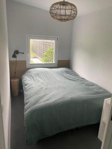 een slaapkamer met een bed en een raam bij Blokhut Klein Meerzicht in Haren